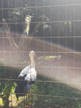 よこはま動物園ズーラシアに投稿された画像（2021/9/23）