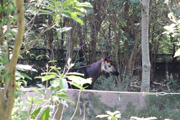 よこはま動物園ズーラシアに投稿された画像（2021/9/23）