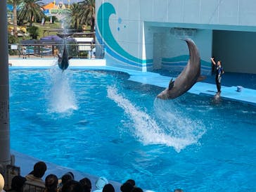 南知多ビーチランド＆南知多おもちゃ王国に投稿された画像（2021/9/23）