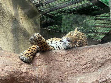 那須どうぶつ王国に投稿された画像（2021/9/23）