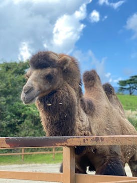 那須どうぶつ王国に投稿された画像（2021/9/23）