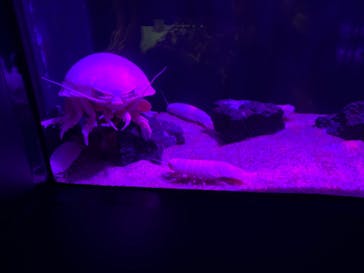 サンシャイン水族館に投稿された画像（2021/9/23）