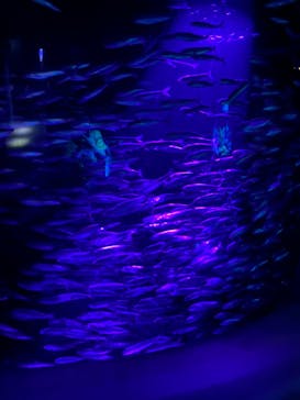 サンシャイン水族館に投稿された画像（2021/9/23）