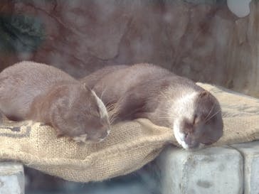 四国水族館に投稿された画像（2021/9/23）