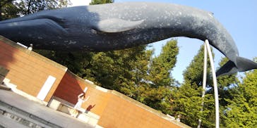 国立科学博物館に投稿された画像（2021/9/23）