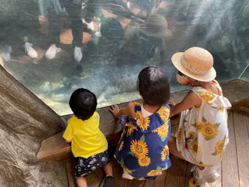 天王寺動物園に投稿された画像（2021/9/23）