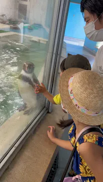 天王寺動物園に投稿された画像（2021/9/23）