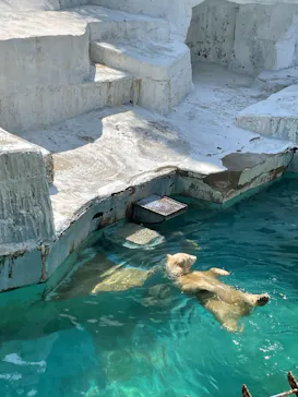 天王寺動物園に投稿された画像（2021/9/23）