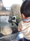 京都水族館に投稿された画像（2021/9/23）