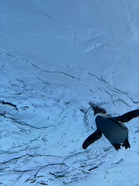 サンシャイン水族館に投稿された画像（2021/9/23）