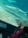 名古屋港水族館に投稿された画像（2021/9/23）