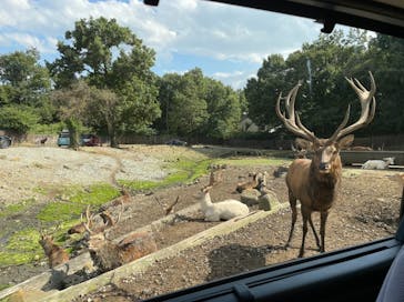 那須サファリパークに投稿された画像（2021/9/23）