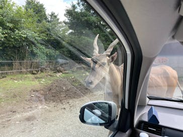 那須サファリパークに投稿された画像（2021/9/23）