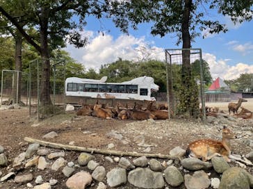 那須サファリパークに投稿された画像（2021/9/23）