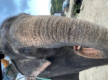 那須サファリパークに投稿された画像（2021/9/23）