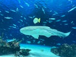 サンシャイン水族館に投稿された画像（2021/9/24）