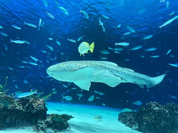 サンシャイン水族館に投稿された画像（2021/9/23）