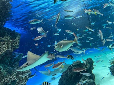 サンシャイン水族館に投稿された画像（2021/9/23）