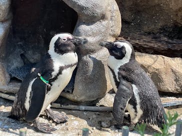 サンシャイン水族館に投稿された画像（2021/9/23）