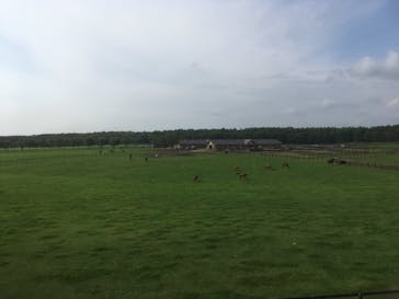 ノーザンホースパークに投稿された画像（2021/9/23）