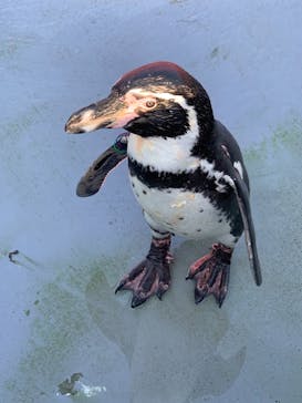 南知多ビーチランド＆南知多おもちゃ王国に投稿された画像（2021/9/23）