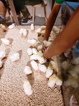 Moff animal world MARK IS みなとみらい店に投稿された画像（2021/9/23）