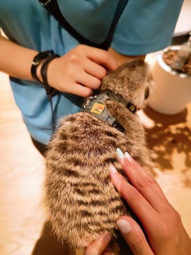 Moff animal world MARK IS みなとみらい店に投稿された画像（2021/9/23）