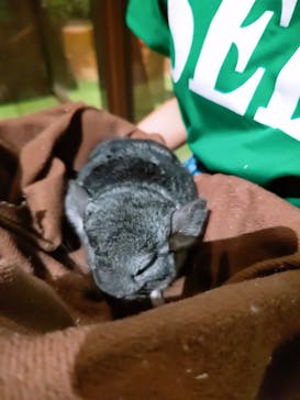 Moff animal world MARK IS みなとみらい店に投稿された画像（2021/9/23）