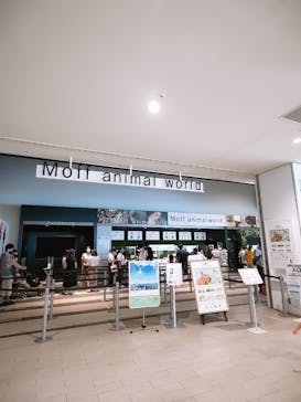 Moff animal world MARK IS みなとみらい店に投稿された画像（2021/9/23）