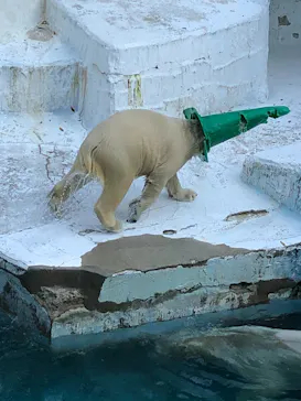 天王寺動物園に投稿された画像（2021/9/23）