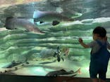 カワスイ 川崎⽔族館に投稿された画像（2021/9/24）