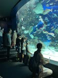 サンシャイン水族館に投稿された画像（2021/9/24）