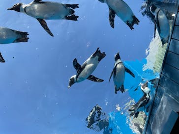 サンシャイン水族館に投稿された画像（2021/9/24）
