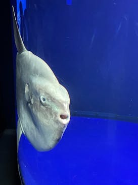 サンシャイン水族館に投稿された画像（2021/9/24）