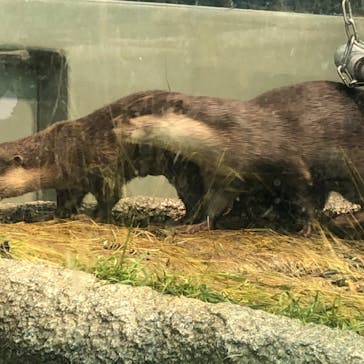 サンシャイン水族館に投稿された画像（2021/9/24）