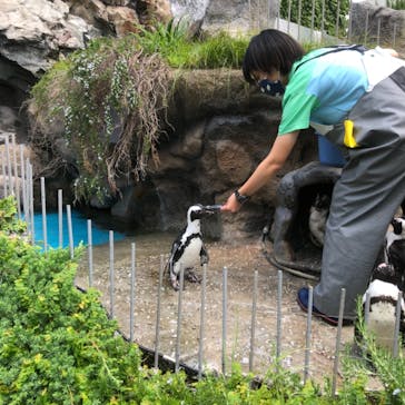 サンシャイン水族館に投稿された画像（2021/9/24）