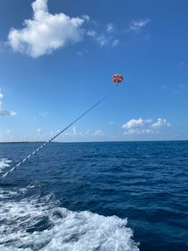 parasailing NOA（パラセーリング  ノア）に投稿された画像（2021/9/24）