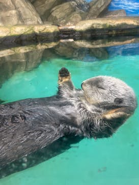 マリンワールド海の中道に投稿された画像（2021/9/24）
