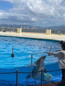 マリンワールド海の中道に投稿された画像（2021/9/24）