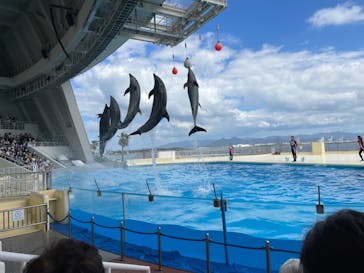 マリンワールド海の中道に投稿された画像（2021/9/24）