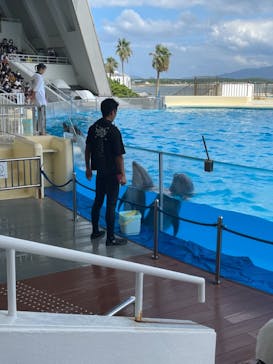 マリンワールド海の中道に投稿された画像（2021/9/24）