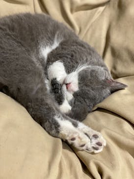 Moff animal world MARK IS みなとみらい店に投稿された画像（2021/9/24）