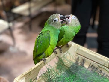 Moff animal world MARK IS みなとみらい店に投稿された画像（2021/9/24）