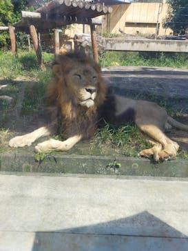 東武動物公園に投稿された画像（2021/9/24）