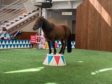 ノーザンホースパークに投稿された画像（2021/9/24）