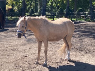 ノーザンホースパークに投稿された画像（2021/9/24）