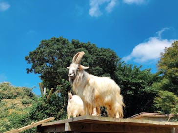 伊豆シャボテン動物公園に投稿された画像（2021/9/24）