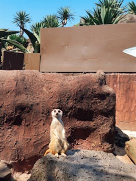 伊豆シャボテン動物公園に投稿された画像（2021/9/24）