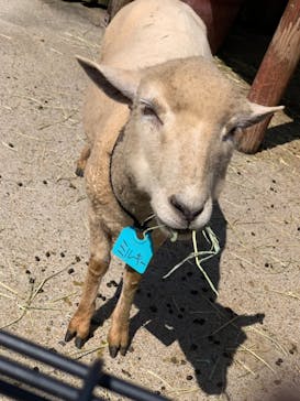 東武動物公園に投稿された画像（2021/9/24）