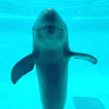 マリンワールド海の中道に投稿された画像（2021/9/24）